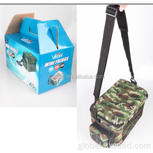 car cooler bag 5L picnic fridge bag car cooler warmer box Supplier